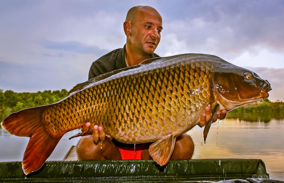 Balti bune de pescuit la crap recomandate pentru 2016